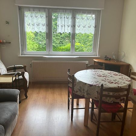 Superbe Maison 3 Chambres 1 Etage Et Sous-Sol, Avec Jardin Et Terrasse アルトキルシュ エクステリア 写真