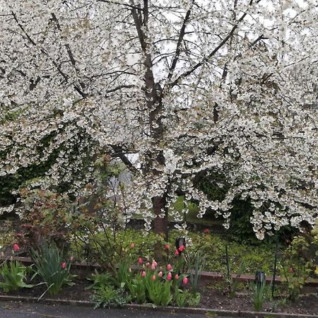 Superbe Maison 3 Chambres 1 Etage Et Sous-Sol, Avec Jardin Et Terrasse アルトキルシュ エクステリア 写真